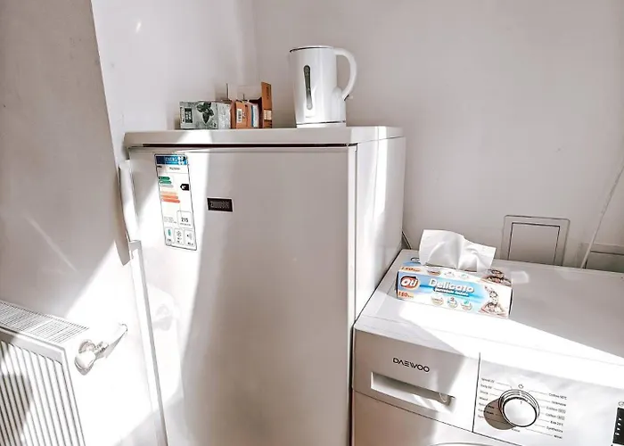 Lägenhet Berindei - Center